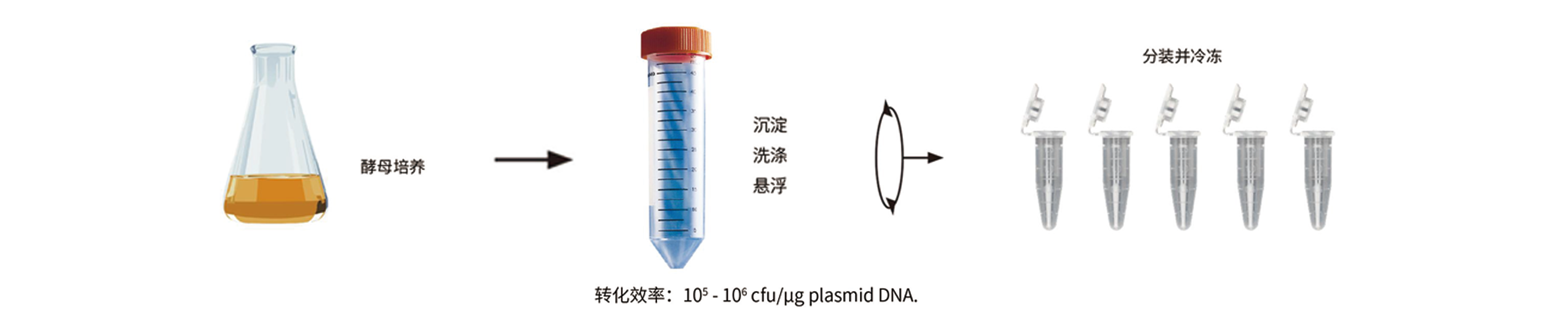 優(yōu)享價(jià)酵母買(mǎi)贈.png